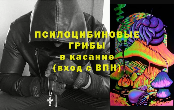 ГАЛЛЮЦИНОГЕННЫЕ ГРИБЫ Алексин