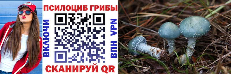 Псилоцибиновые грибы GOLDEN TEACHER даркнет сайт кракен как зайти Алзамай